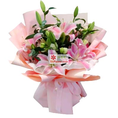 深圳6支粉色多头百合，祝你人生得意